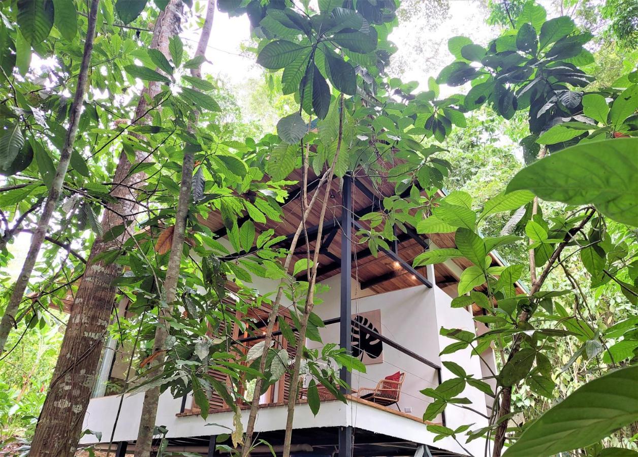 Satta Lodge (Adults Only) Puerto Viejo de Talamanca 外观 照片