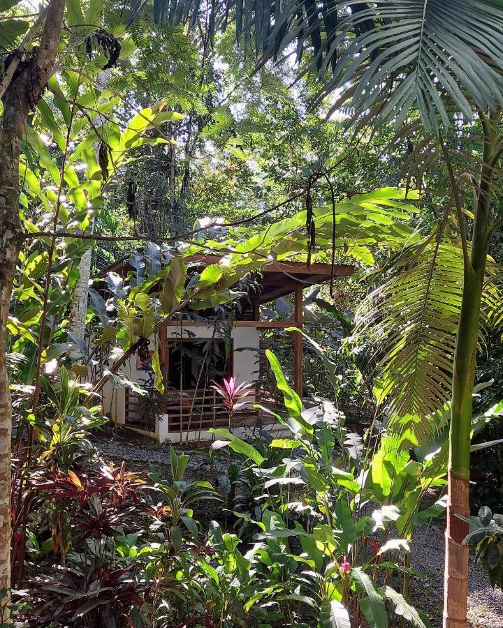 Satta Lodge (Adults Only) Puerto Viejo de Talamanca 外观 照片