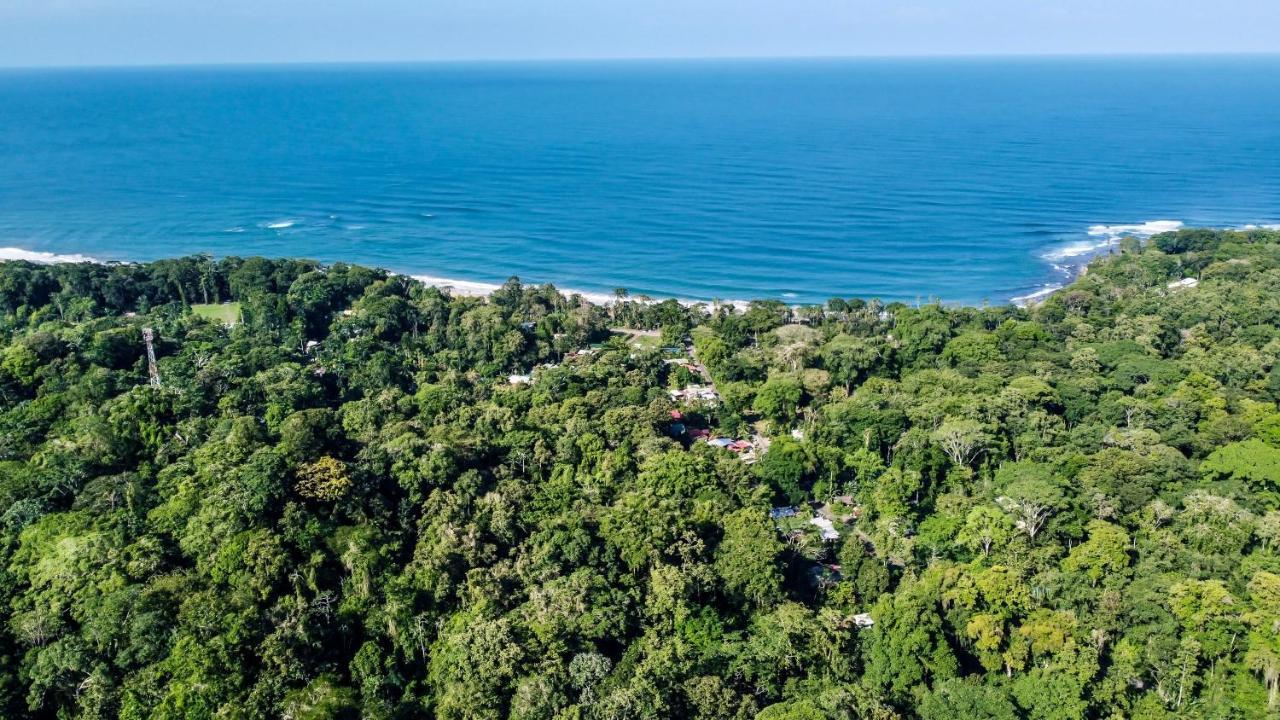 Satta Lodge (Adults Only) Puerto Viejo de Talamanca 外观 照片