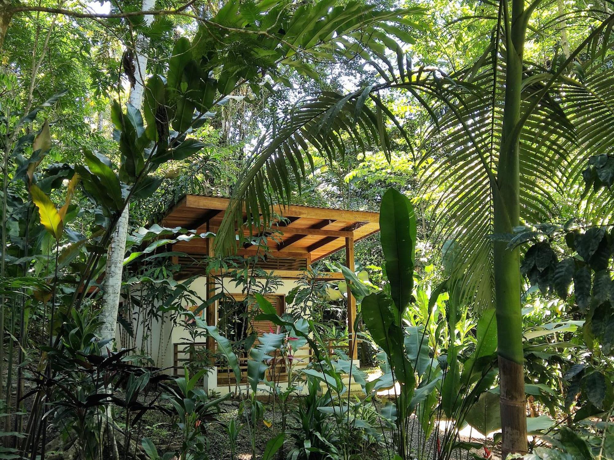Satta Lodge (Adults Only) Puerto Viejo de Talamanca 客房 照片