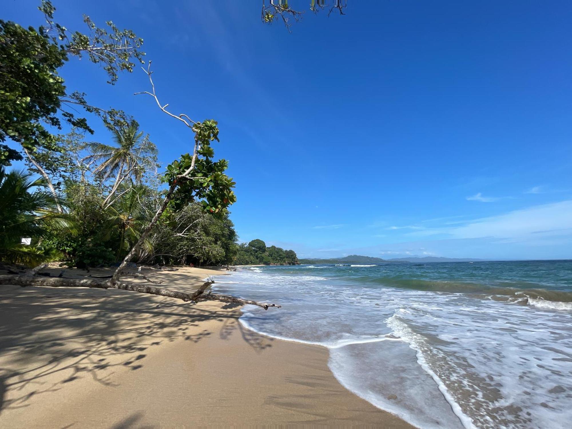 Satta Lodge (Adults Only) Puerto Viejo de Talamanca 外观 照片