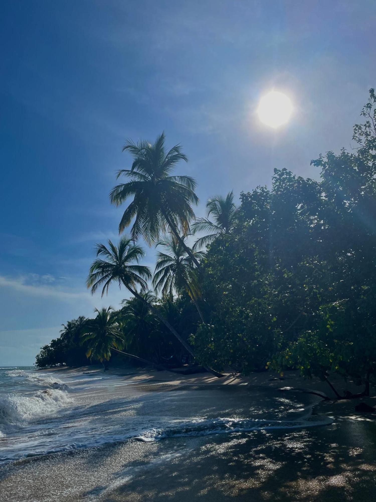 Satta Lodge (Adults Only) Puerto Viejo de Talamanca 外观 照片