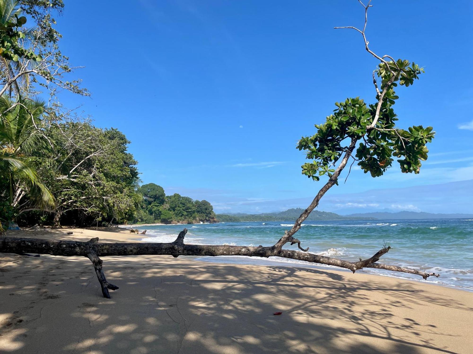 Satta Lodge (Adults Only) Puerto Viejo de Talamanca 外观 照片