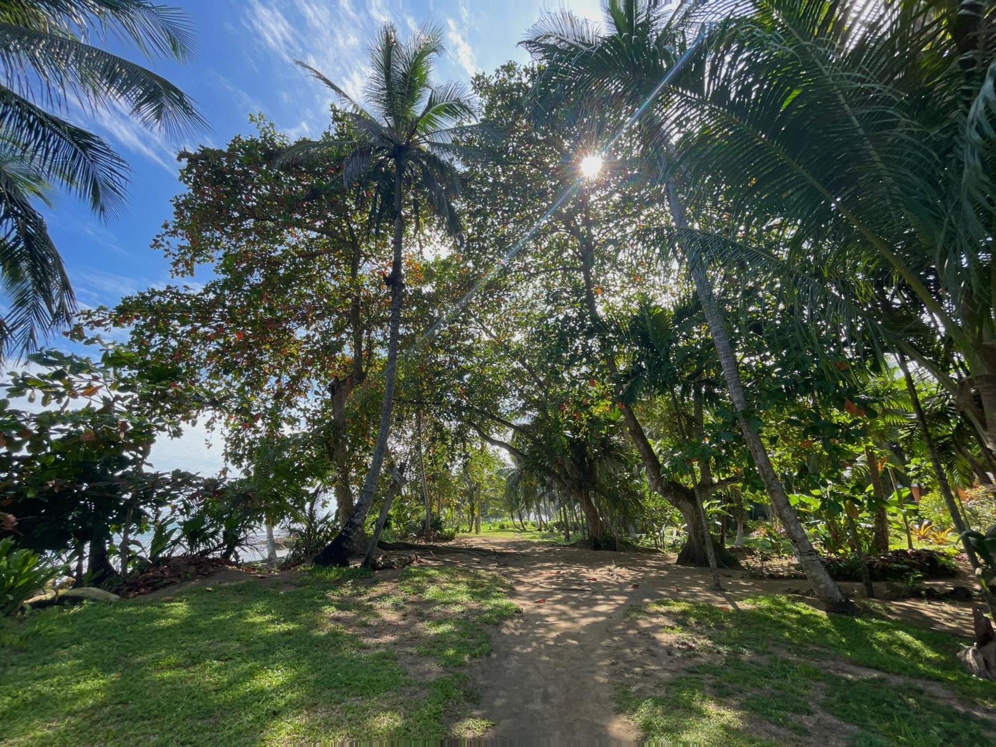 Satta Lodge (Adults Only) Puerto Viejo de Talamanca 外观 照片