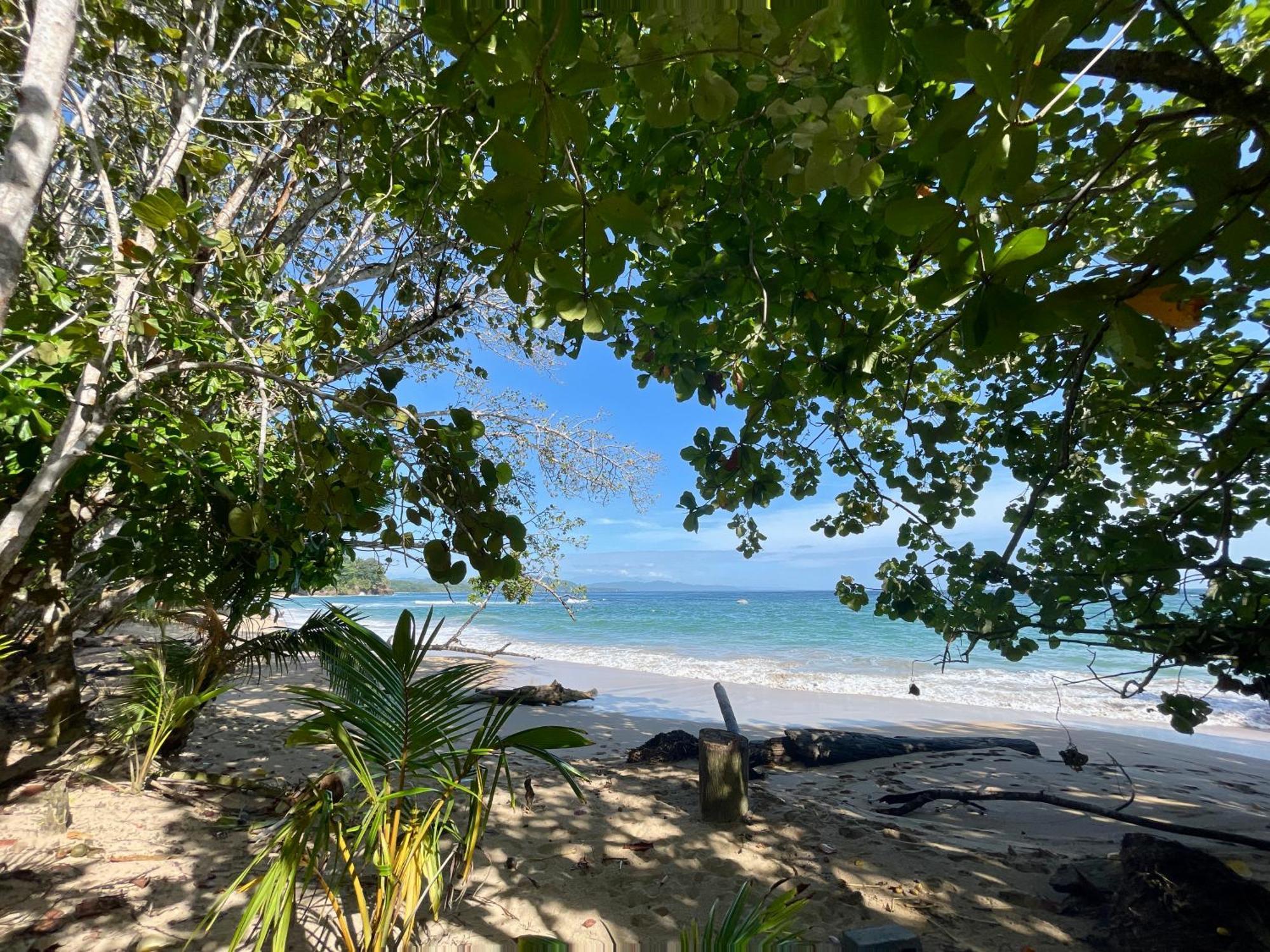 Satta Lodge (Adults Only) Puerto Viejo de Talamanca 外观 照片