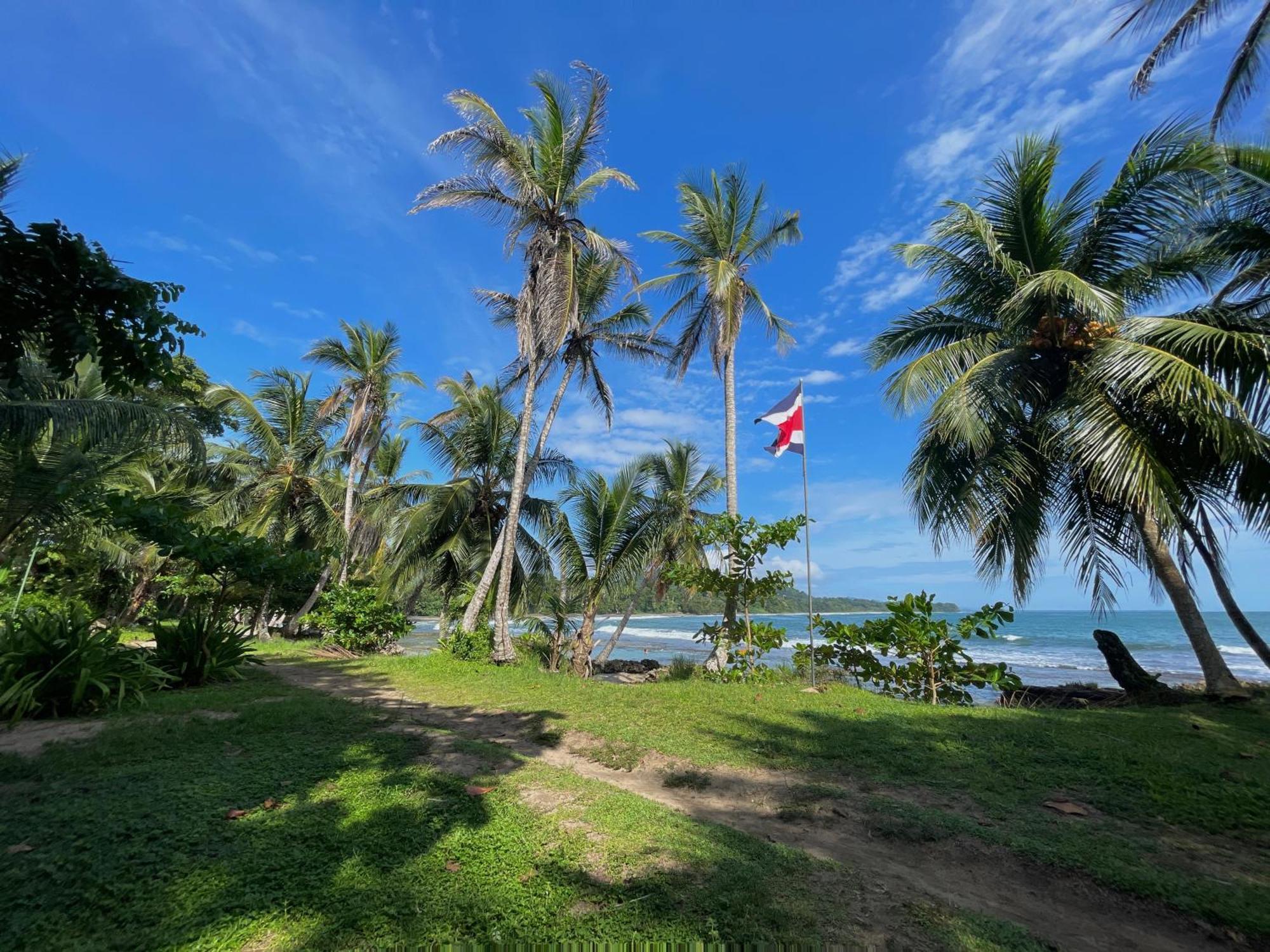 Satta Lodge (Adults Only) Puerto Viejo de Talamanca 外观 照片