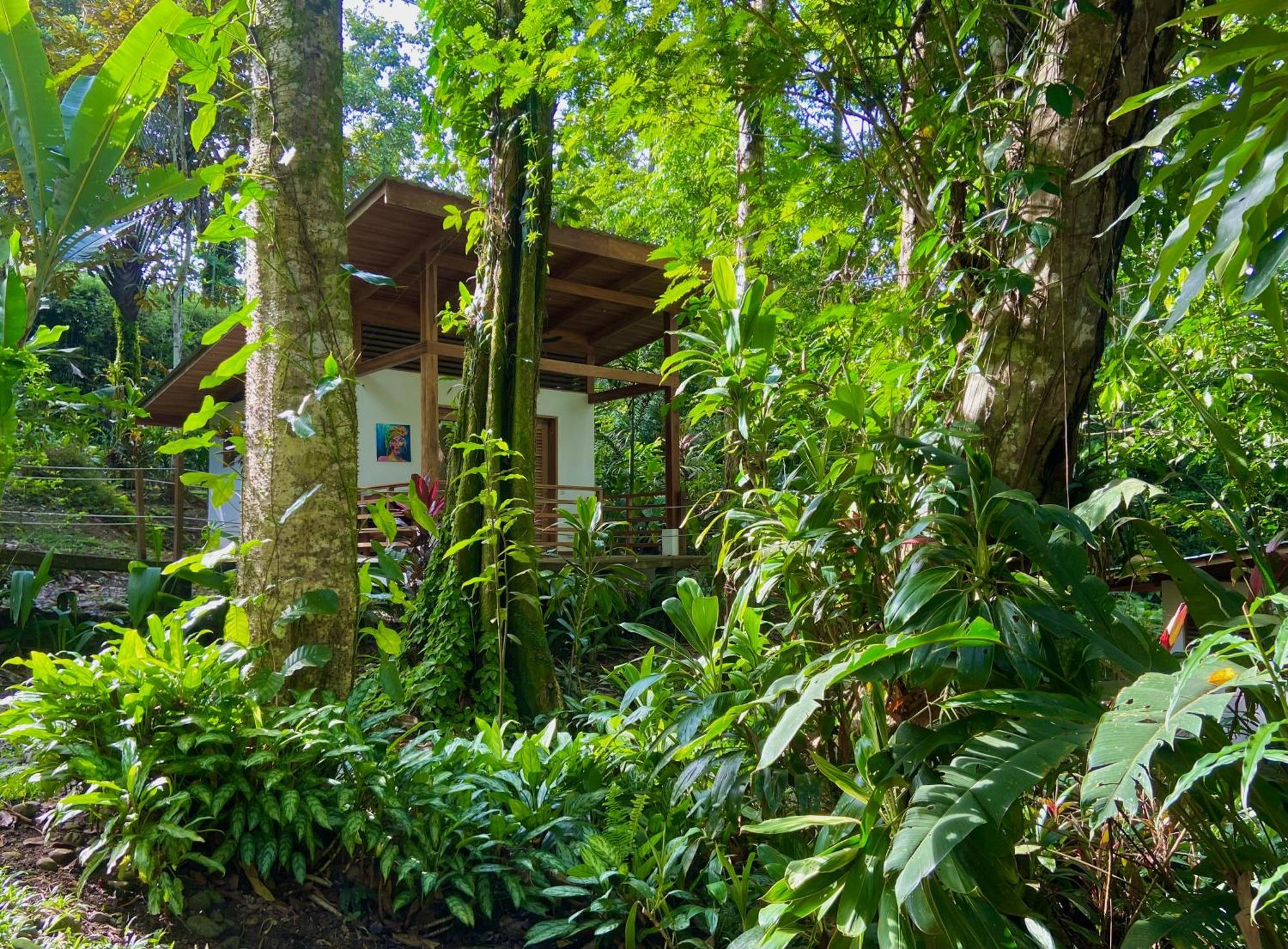 Satta Lodge (Adults Only) Puerto Viejo de Talamanca 外观 照片