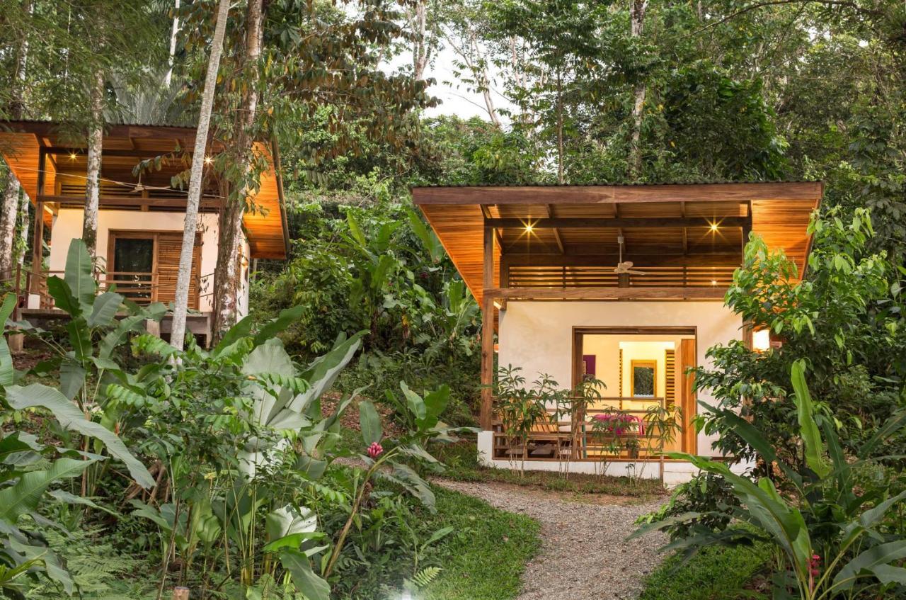 Satta Lodge (Adults Only) Puerto Viejo de Talamanca 外观 照片